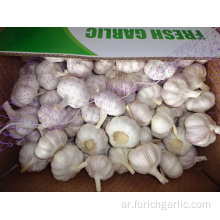 The Garlic Fresh New Crop 2019